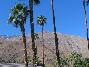 The hills