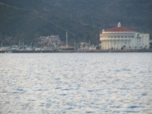 catalinaisland